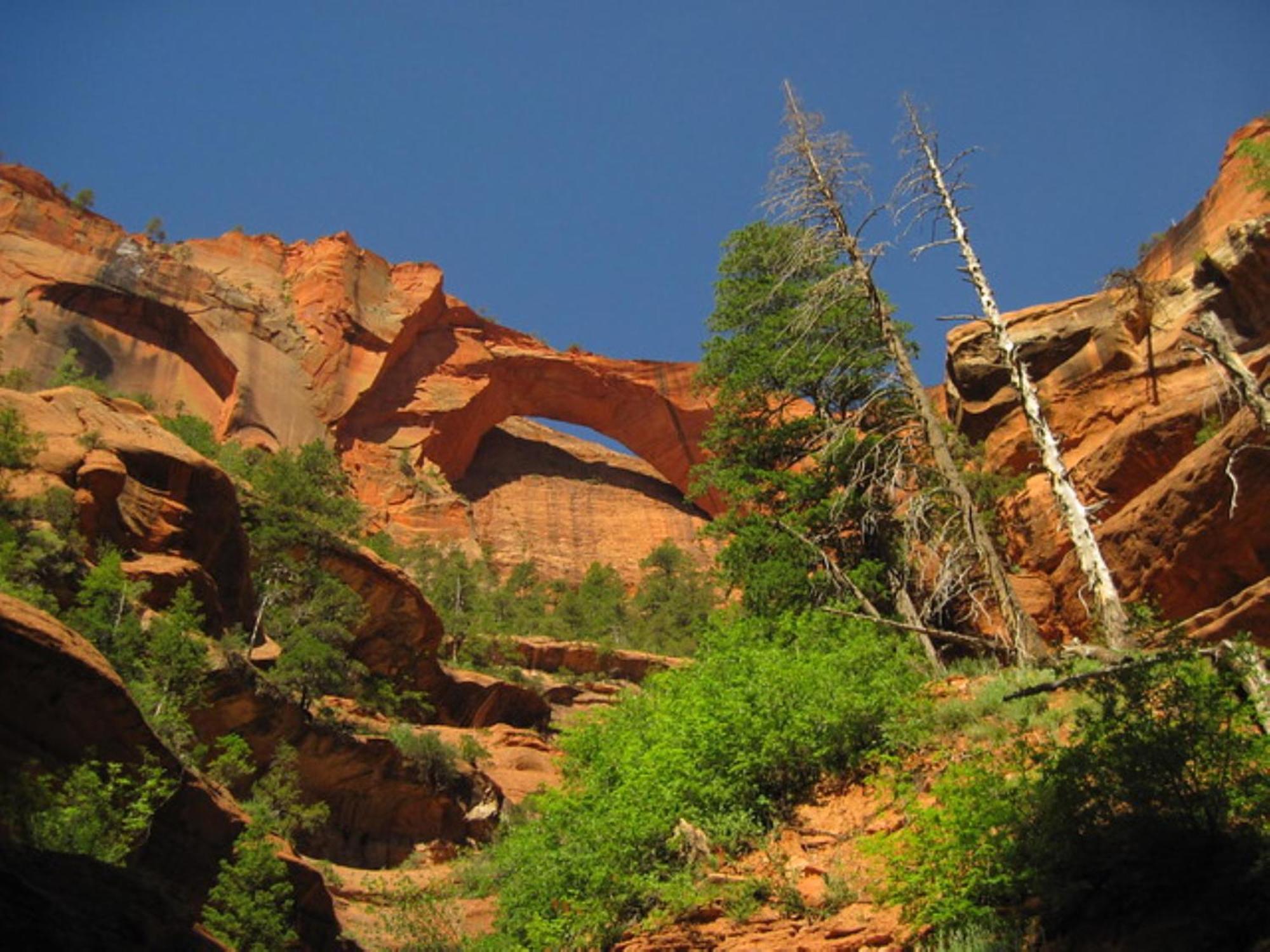 Holiday Inn La Verkin - Zion Park By Ihg 외부 사진